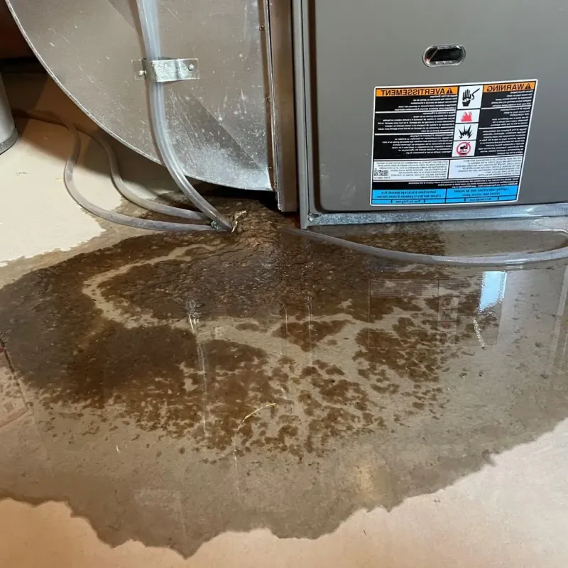 Pipe Burst and Leak Restoration in East Aurora, NY